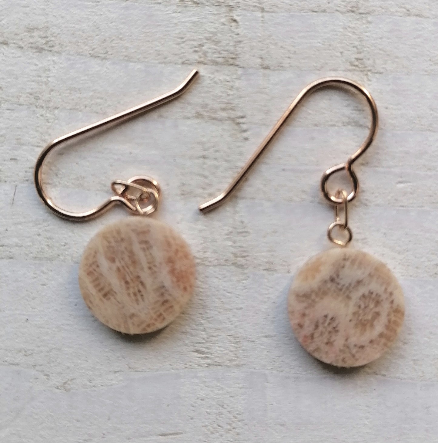 Orecchini corallo fossile