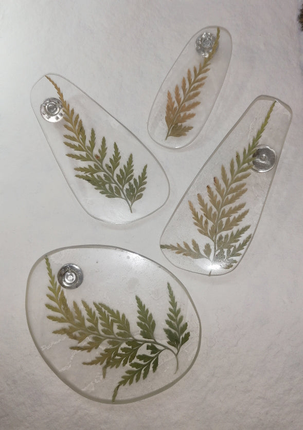 Fern Brooches