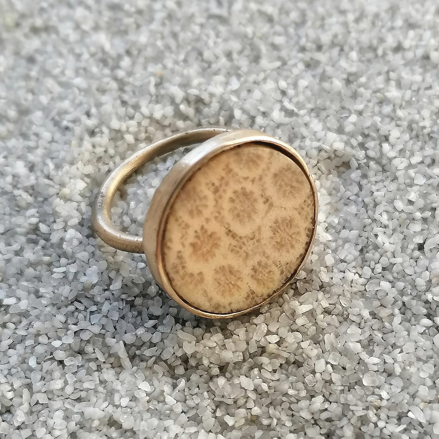Anello corallo fossile