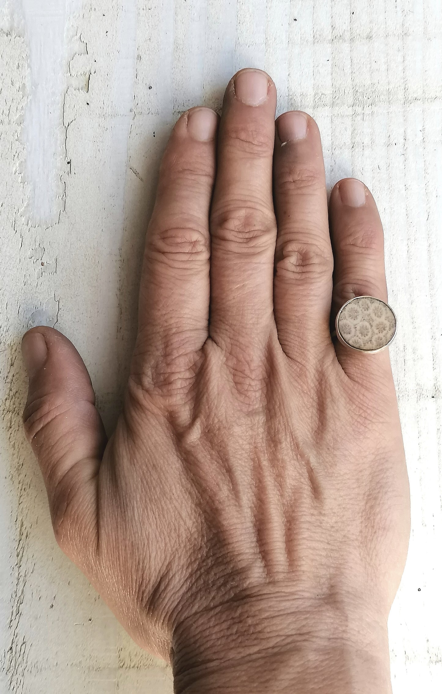 Anello corallo fossile