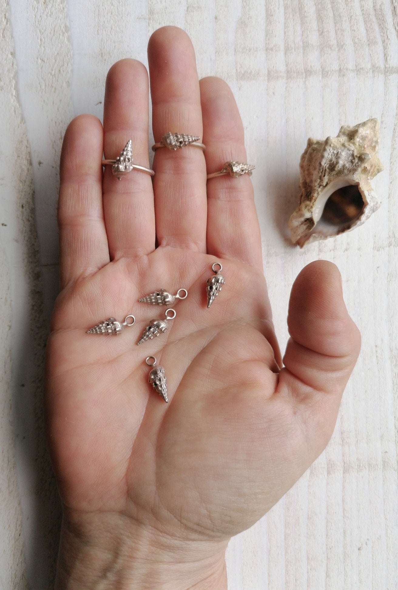 Long shell rings