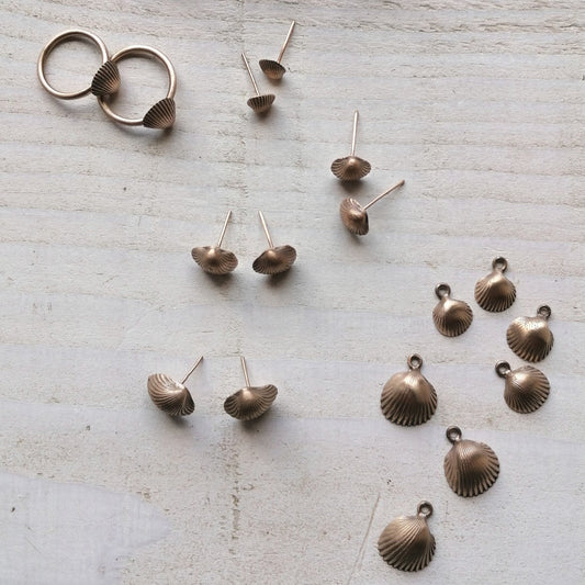 Shell earrings