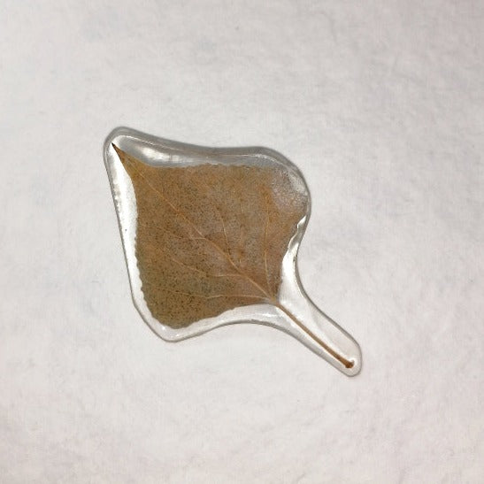 White Poplar Brooches