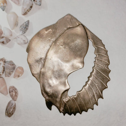 Pierced shell necklace