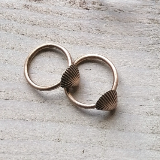 Shell rings
