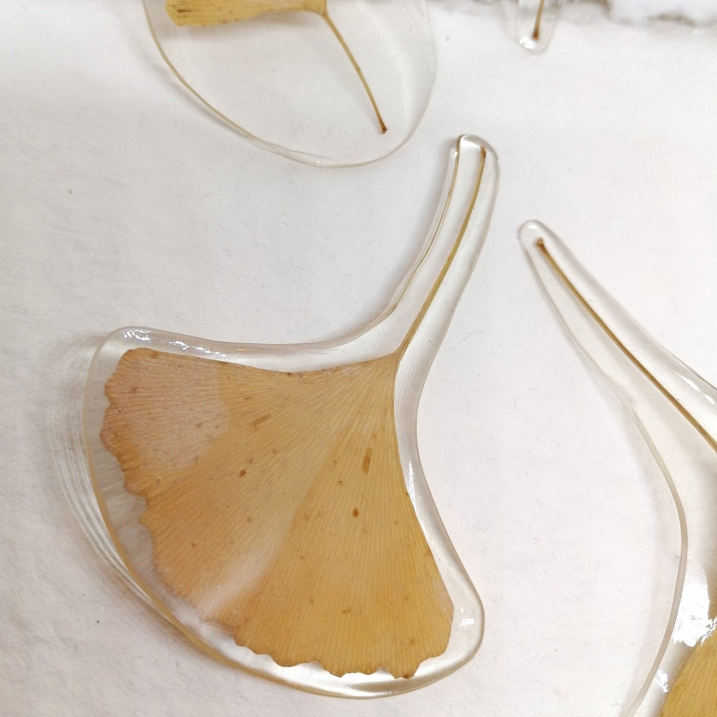 Ginko Biloba brooch