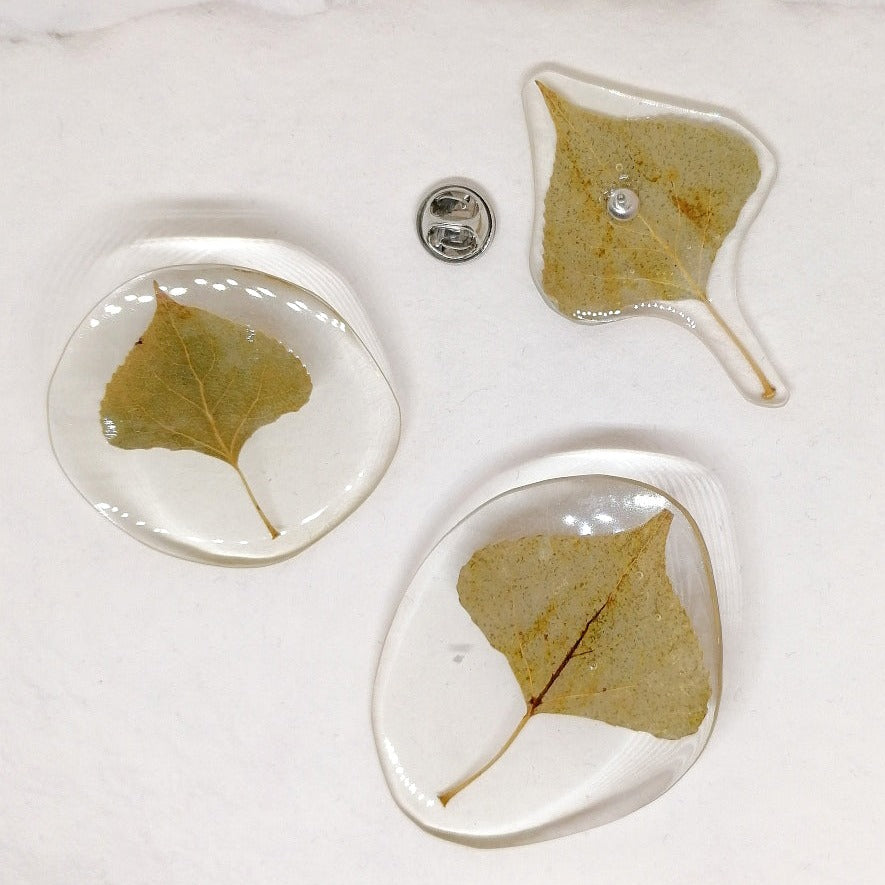 White Poplar Brooches